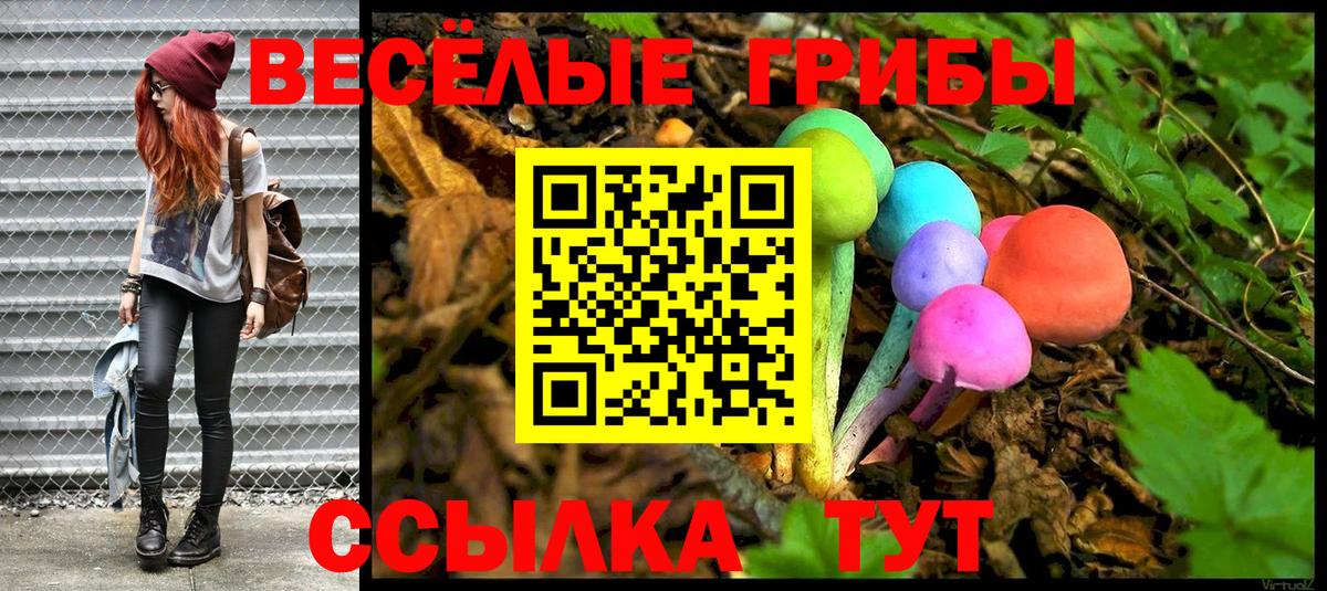Горно-Алтайск  Псилоцибиновые грибы Psilocybine cubensis  Вход с VPN  Галлюциногенные грибы GOLDEN TEACHER 